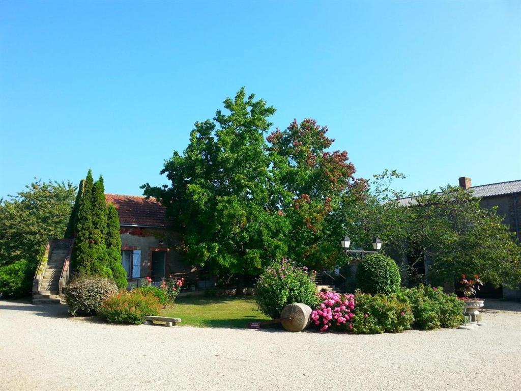 مبيت وإفطار Le Pallet Chateau De La Galissonniere المظهر الخارجي الصورة